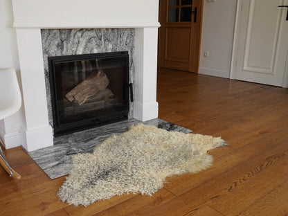 0b703f87f8778280cecbe21c5d1c1100