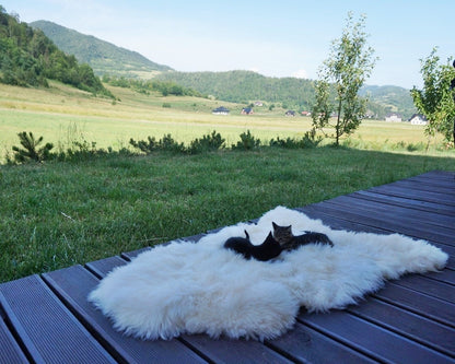 Original BIG Xl White Genuine Natural Sheepskin Rug Exclusive rug, Large Sheepskin Cat Bed, Woolen Cat Bed Mat, Pet Cat