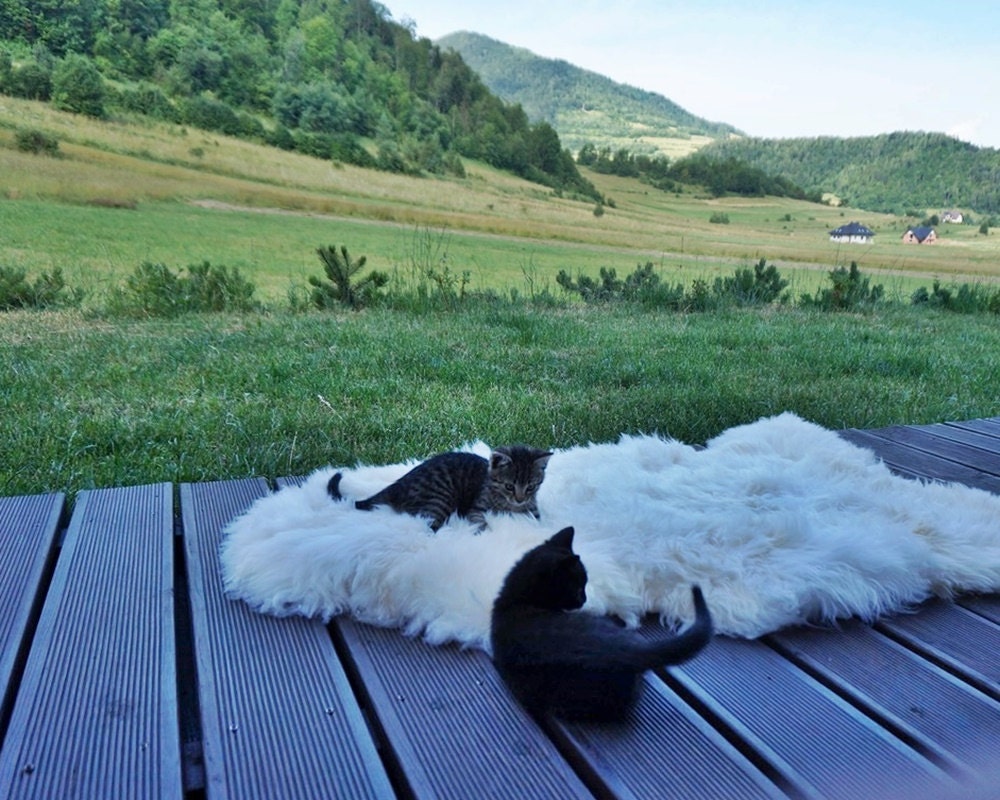 Original BIG Xl White Genuine Natural Sheepskin Rug Exclusive rug, Large Sheepskin Cat Bed, Woolen Cat Bed Mat, Pet Cat