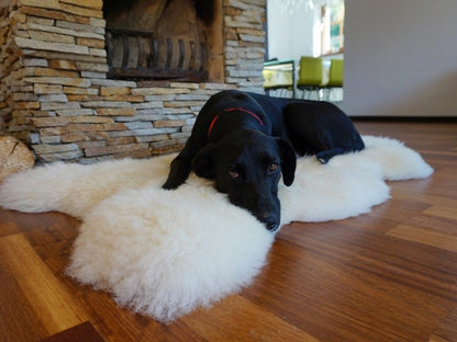 Original BIG L White Genuine Natural Sheepskin Rug Exclusive rug, Large Sheepskin Dog Bed, Woolen Dog Bed Mat, Pet Dog