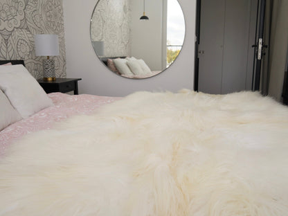 GIANT  Four Sheepskin Icelandic    White Cream Throw Genuine leather Sheep Skin 79" x 48" Decorative rug White comfy, cozy, hair i